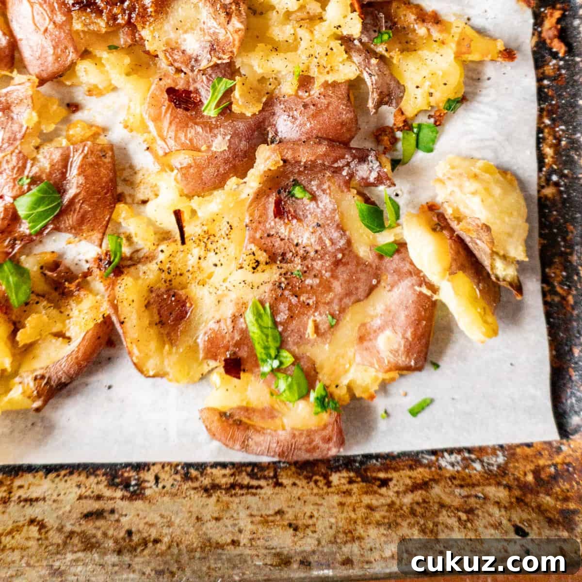 featured 15138