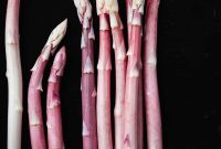 Pink Asparagus: Discover the Rare, Sensational Spring Spears