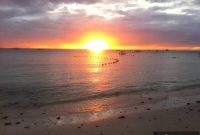 Wishing You a Thousand Suns: A Poetic Blessing