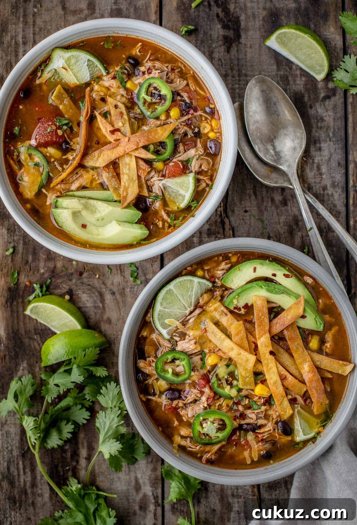 Two bowls of smoked chicken tortilla soup