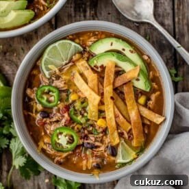 a bowl of chicken tortilla soup