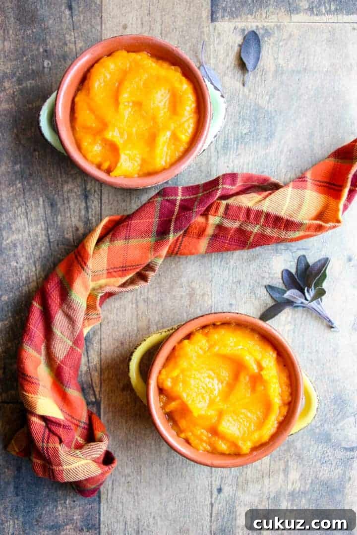 Creamy Roasted Butternut Squash Mash Recipe 6 A bowl of food