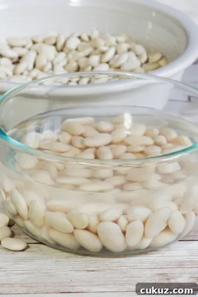 navy beans
