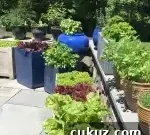 Patio Vegetable Garden: Step-by-Step Guide to Growing Veggies in Containers