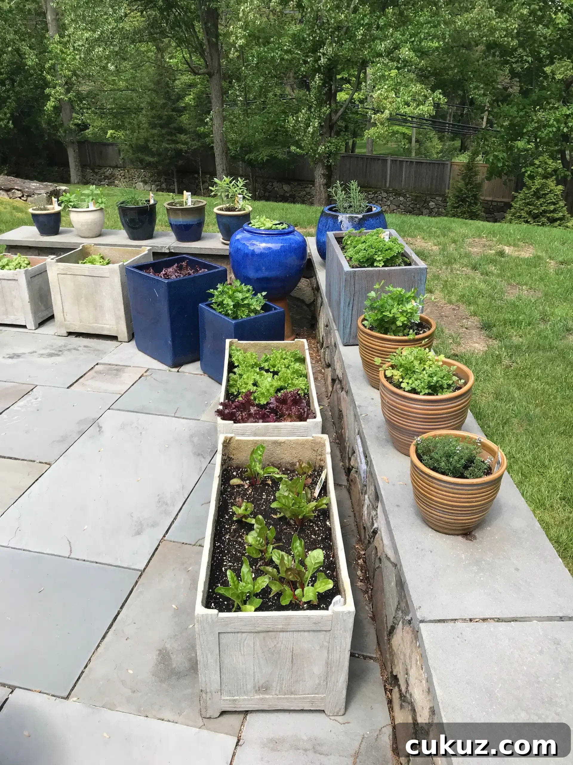 planting a patio garden #glutenfreerecipes www.healthygffamily.com