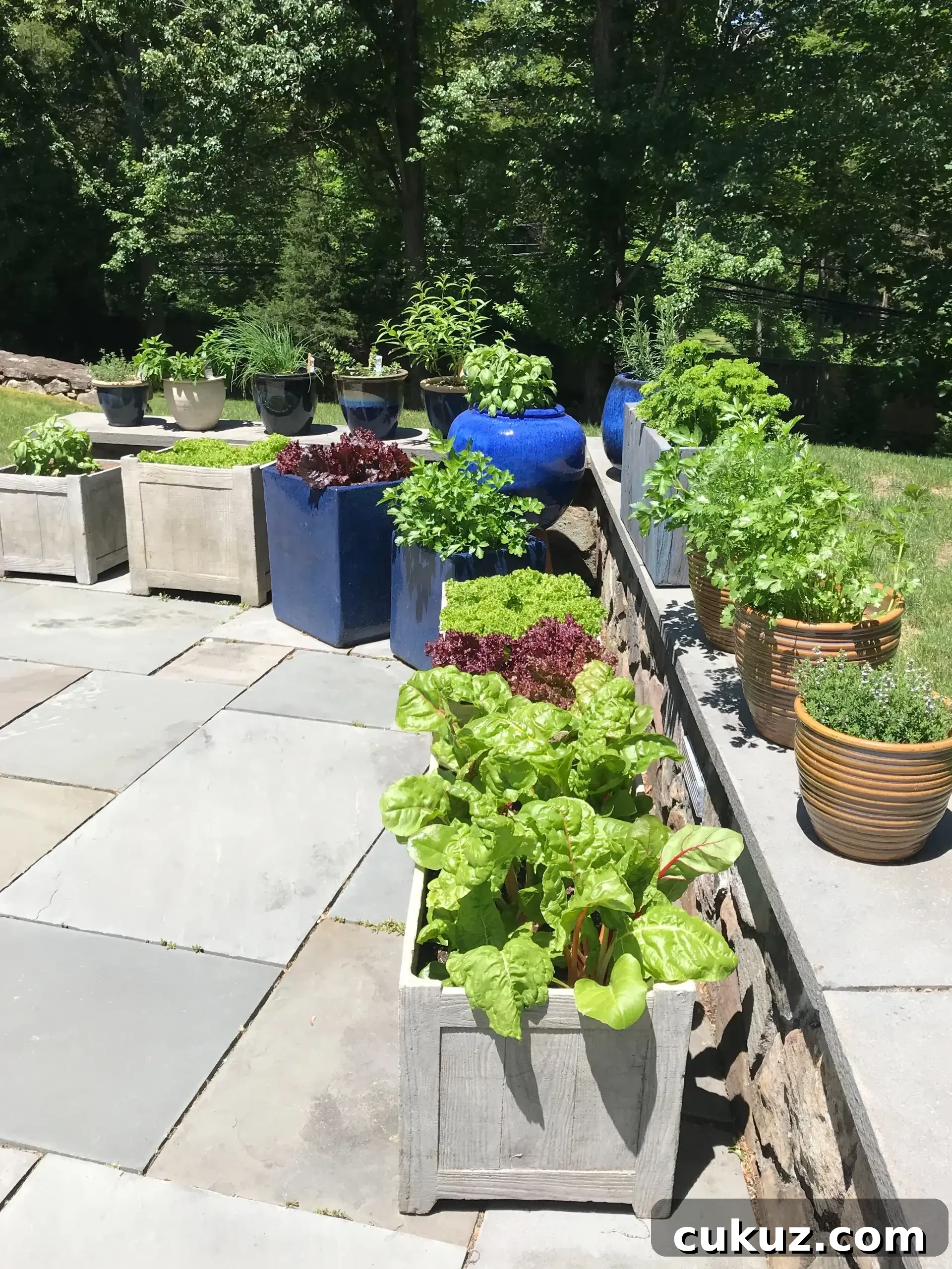 planting a patio garden #glutenfreerecipes www.healthygffamily.com