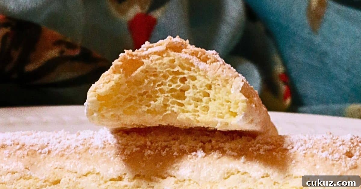 the texture of light and airy homemade ladyfinger