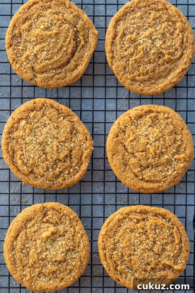 six round golden brown cookies sit on a cooling rack