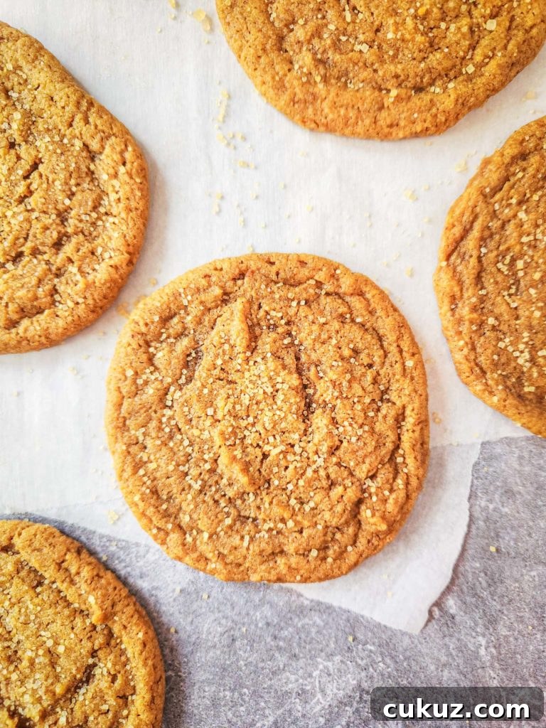 Golden brown cookie sits on layers of parchment