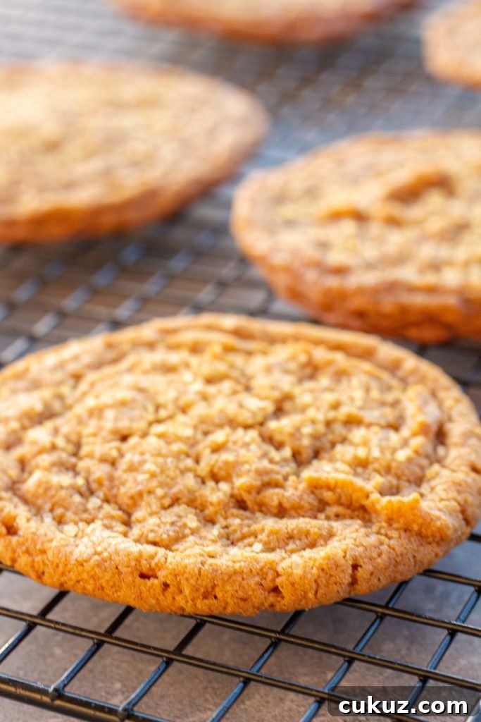 a golden brown pumpkin cookie is featured close up