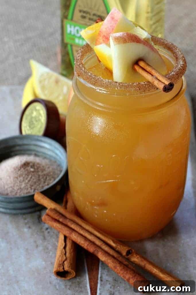 Make this Apple Cider Margarita for a fun, Fall cocktail!