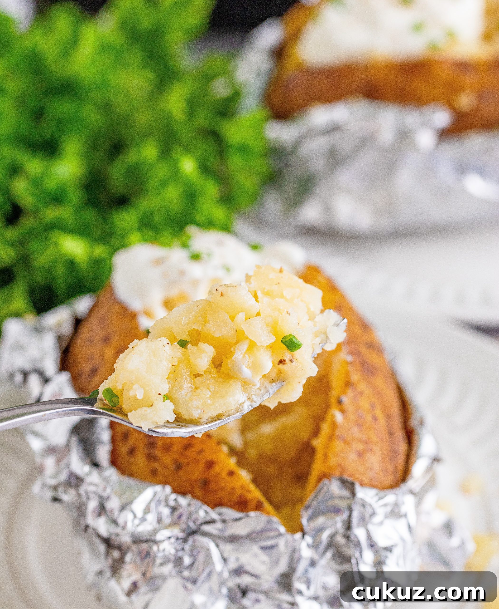 Potato skin close-up