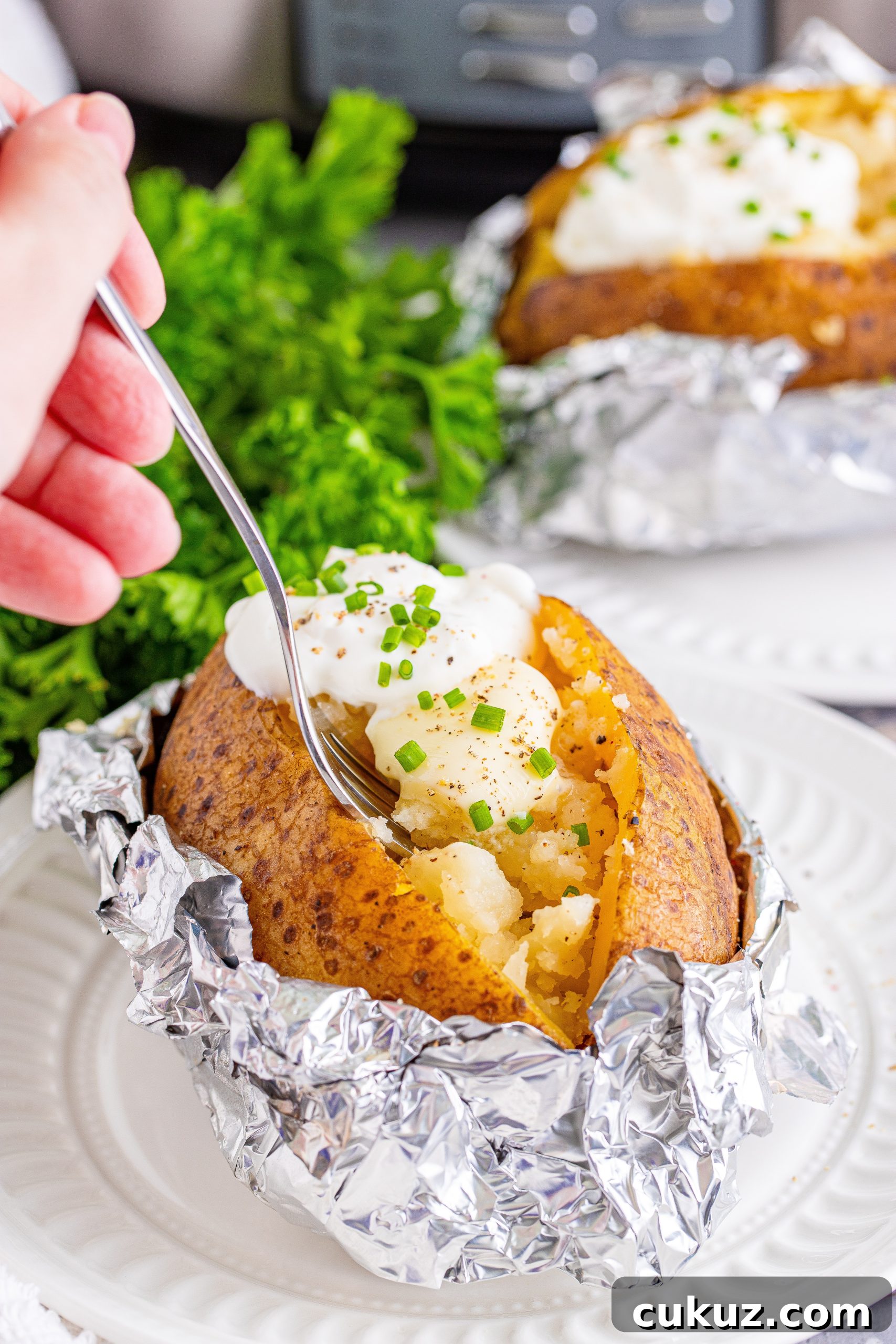 Seasoned potato skin