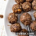A white plate of Almond Joy Energy Balls with a cookie scoop in the middle.