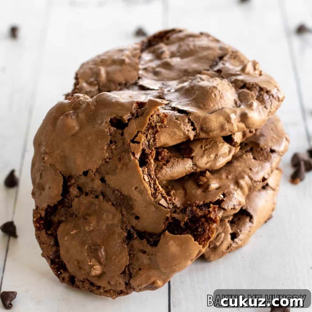 Ultimate Fudgy Chocolate Cookie Recipe for Intense Cocoa Flavor 2 fudgy chocolate cookies in a pile with one missing a bite