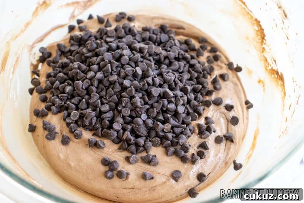 Ultimate Fudgy Chocolate Cookie Recipe for Intense Cocoa Flavor 11 chocolate chips added