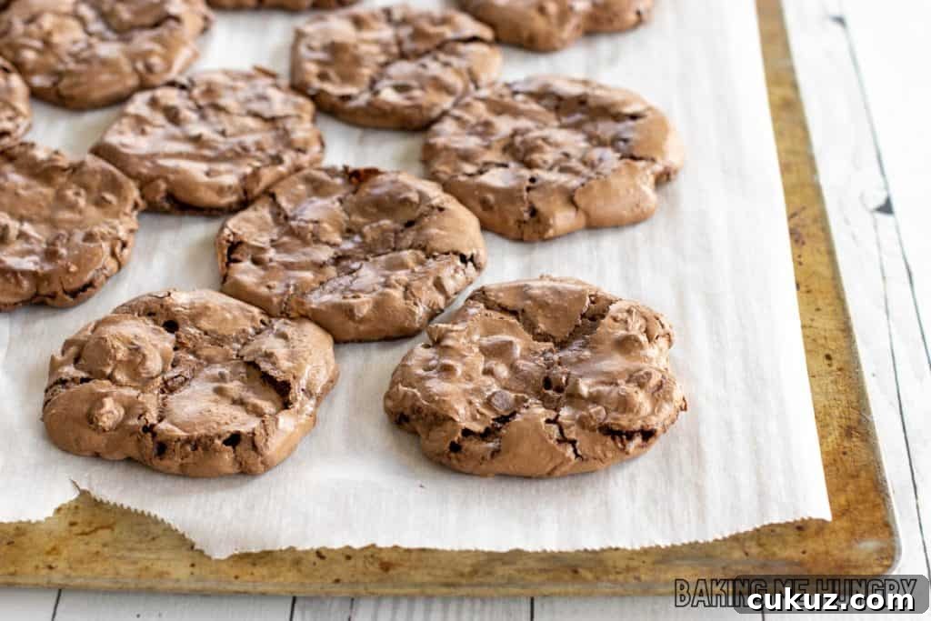 Ultimate Fudgy Chocolate Cookie Recipe for Intense Cocoa Flavor 14 baked cookies on cookie sheet