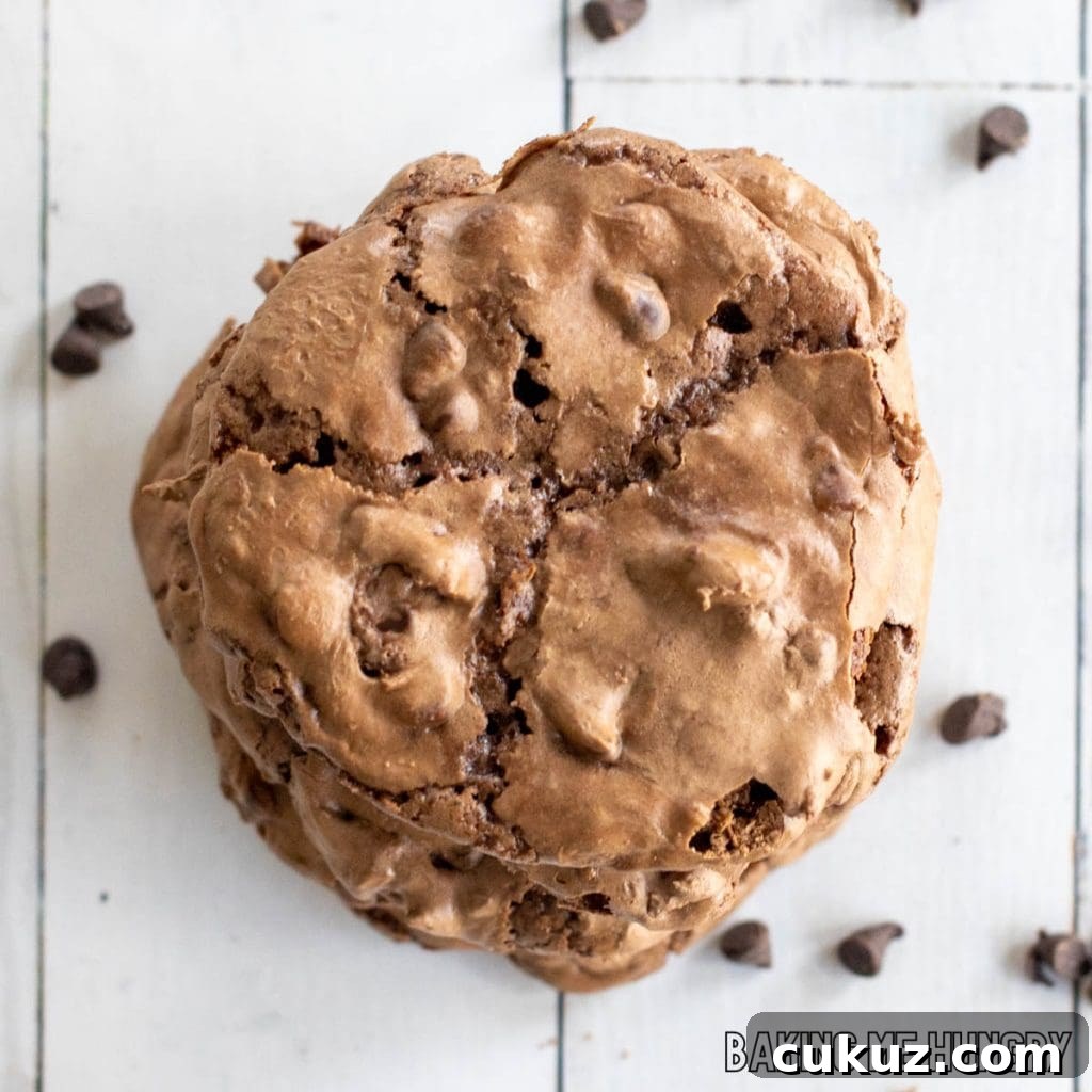 Ultimate Fudgy Chocolate Cookie Recipe for Intense Cocoa Flavor 15 top down shot of fudgy chocolate cookies in a stack