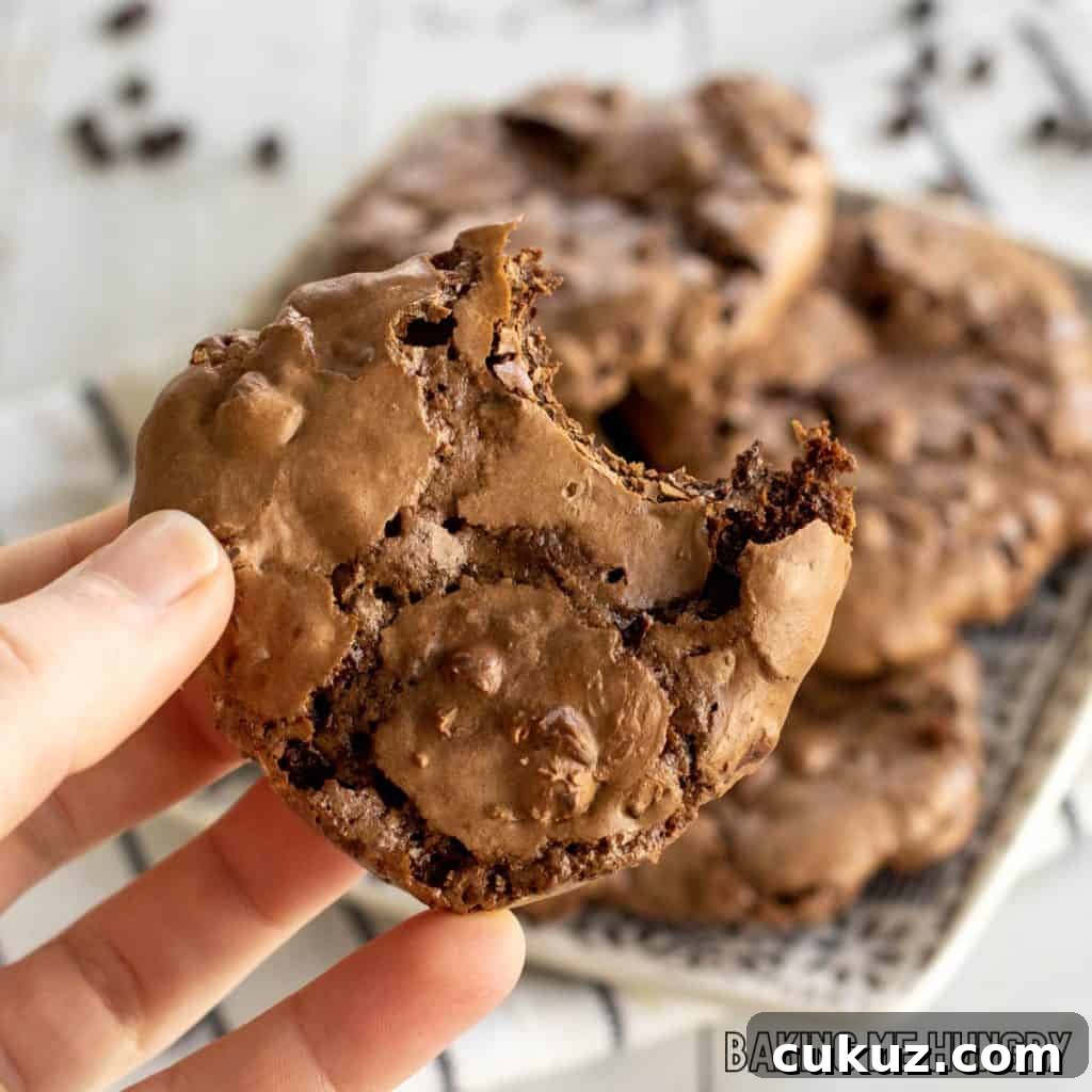 Ultimate Fudgy Chocolate Cookie Recipe for Intense Cocoa Flavor 16 fudgy chocolate cookies being held by hand missing a bite