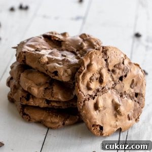 Ultimate Fudgy Chocolate Cookie Recipe for Intense Cocoa Flavor 21 fudgy chocolate cookies in a stack with with one leaning