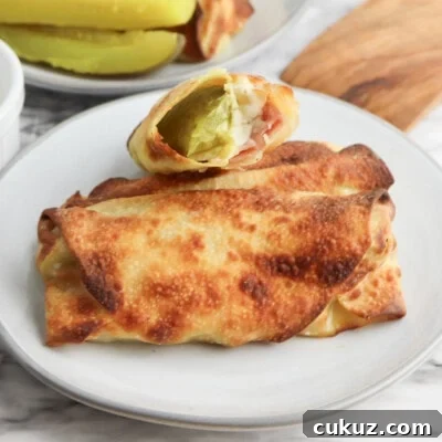 Crispy Pickle Egg Rolls with Tangy Dipping Sauce 9 Air Fryer Ham and Pickle Egg Rolls feature