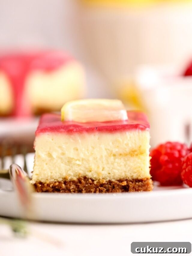 cropped-raspberry-cheesecake-bar-on-plate.jpg