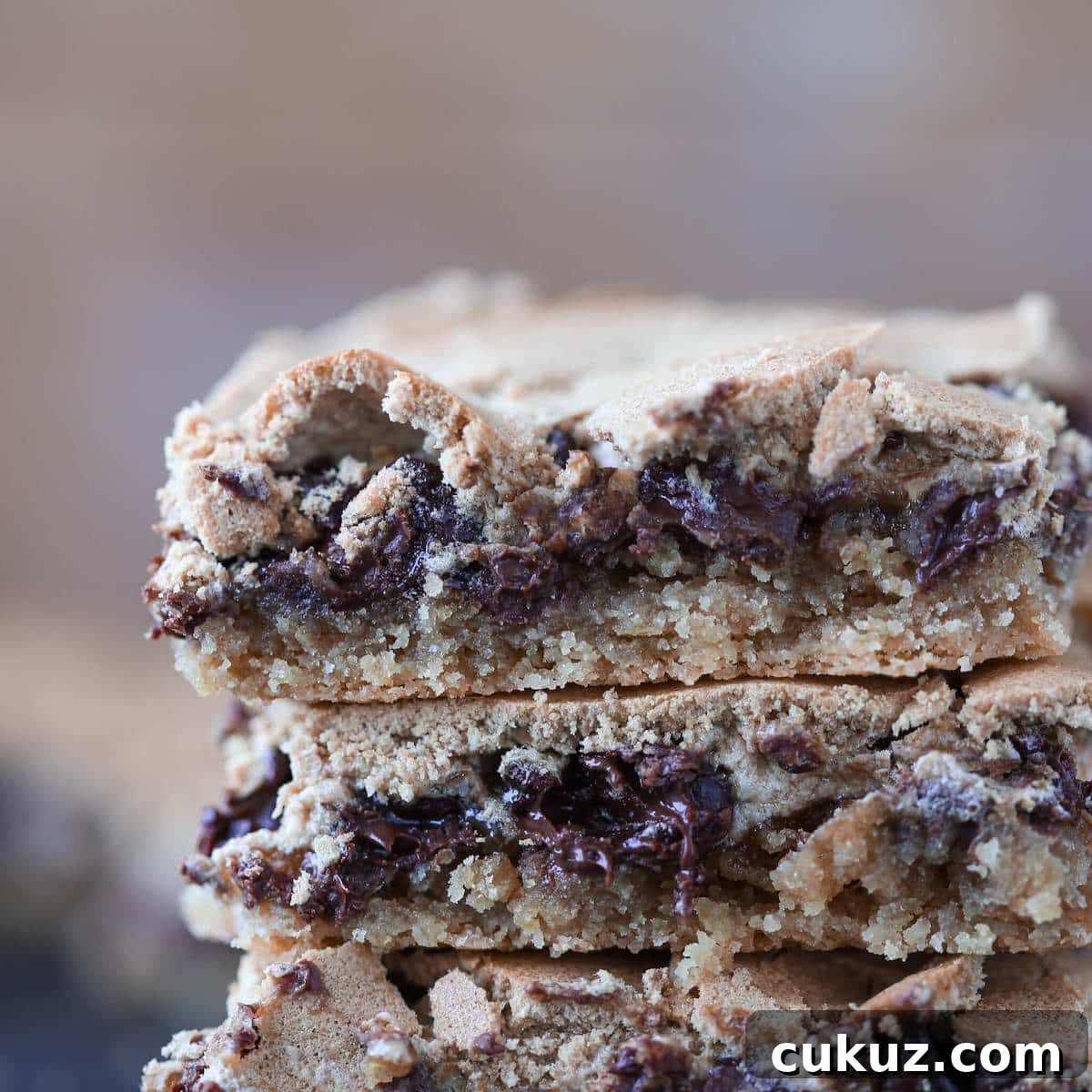 Chocolate Halfway Bars Recipe: Fudgy No-Bake Chocolate Bars 5 Chocolate Halfway Bars interior details