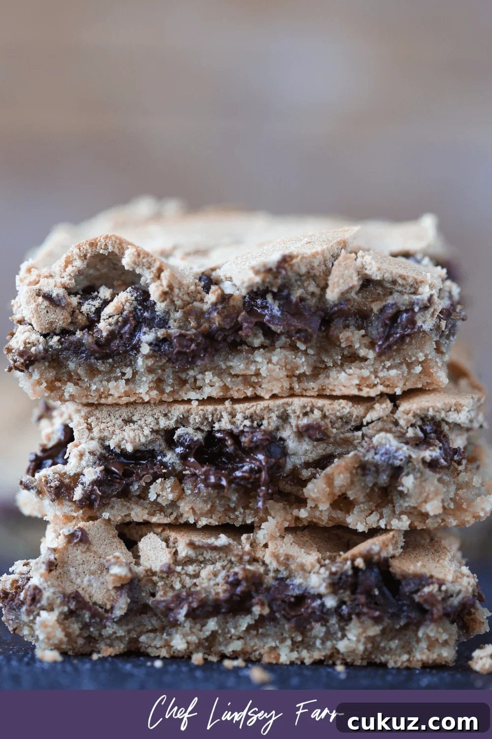 Chocolate Halfway Bars Recipe: Fudgy No-Bake Chocolate Bars 10 Chocolate Halfway Bars Purple Border