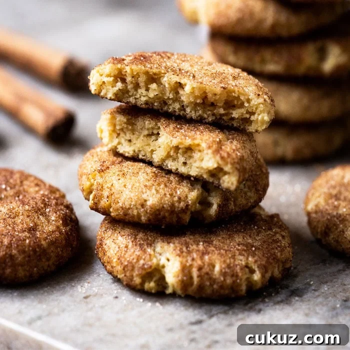 Gluten free & keto snickerdoodle cookies with an perfectly soft center