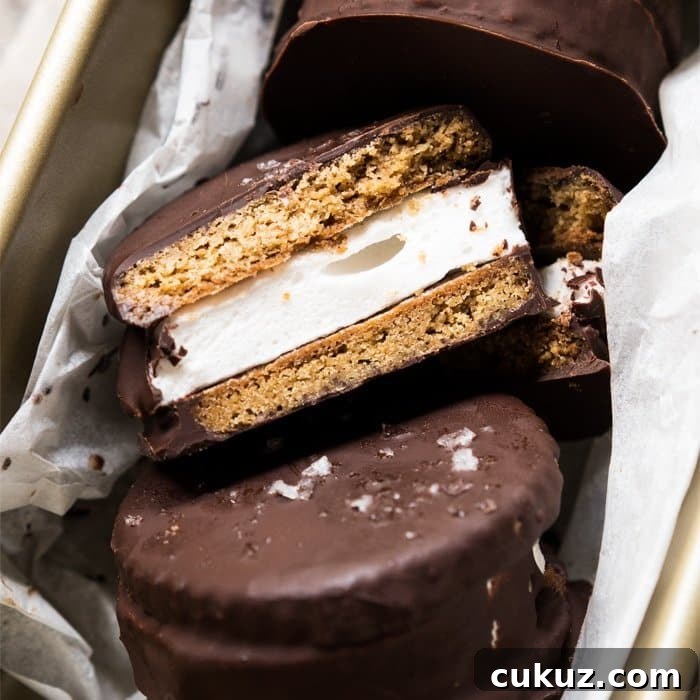 Gluten Free & Keto Wagon Wheels (i.e. S'mores Cookies!) #keto #lowcarb #healthyrecipes #chocolate #smores #marshmallows