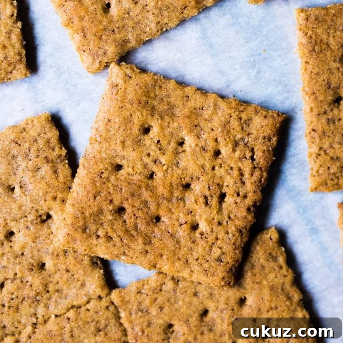 Gluten Free & Keto Graham Crackers 🍪 #keto #lowcarb #grainfree #healthyrecipes