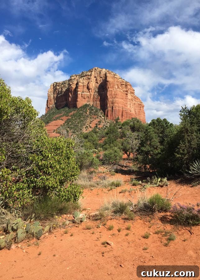 Cathedral Rock area
