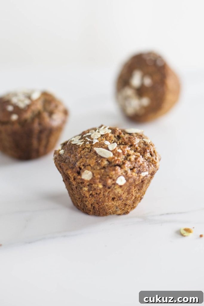 Vegan Porridge Muffins: Wholesome Grab-and-Go Breakfast 3 Low fat & vegan Breakfast Porridge Muffins (oatmeal muffins)