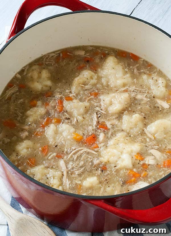 gluten-free-chicken-and-dumplings-recipe