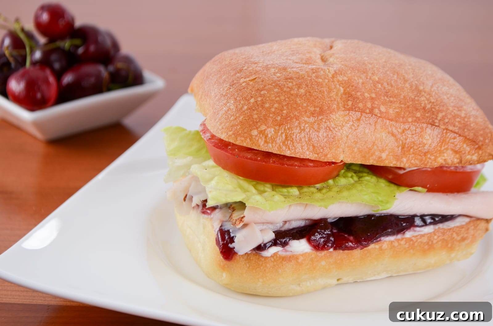 Turkey, Cranberry, and Cream Cheese on Toasted Ciabatta
