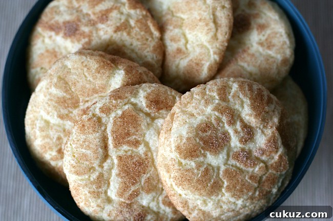 A plate with several snickerdoodle cookies.