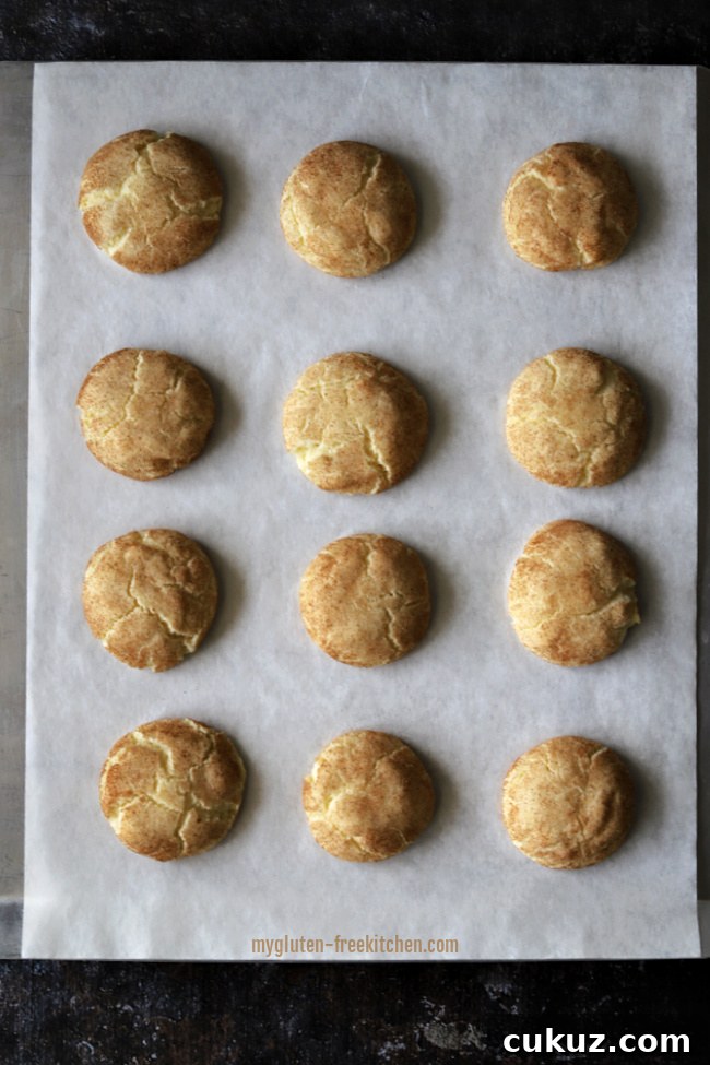 Baked snickerdoodles on a cookie sheet.