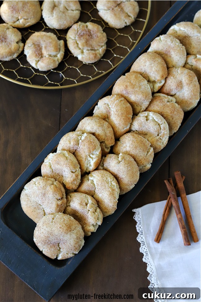 Several snickerdoodles on a blue tray.