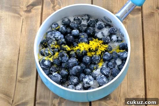 Blueberry Simple Syrup ingredients