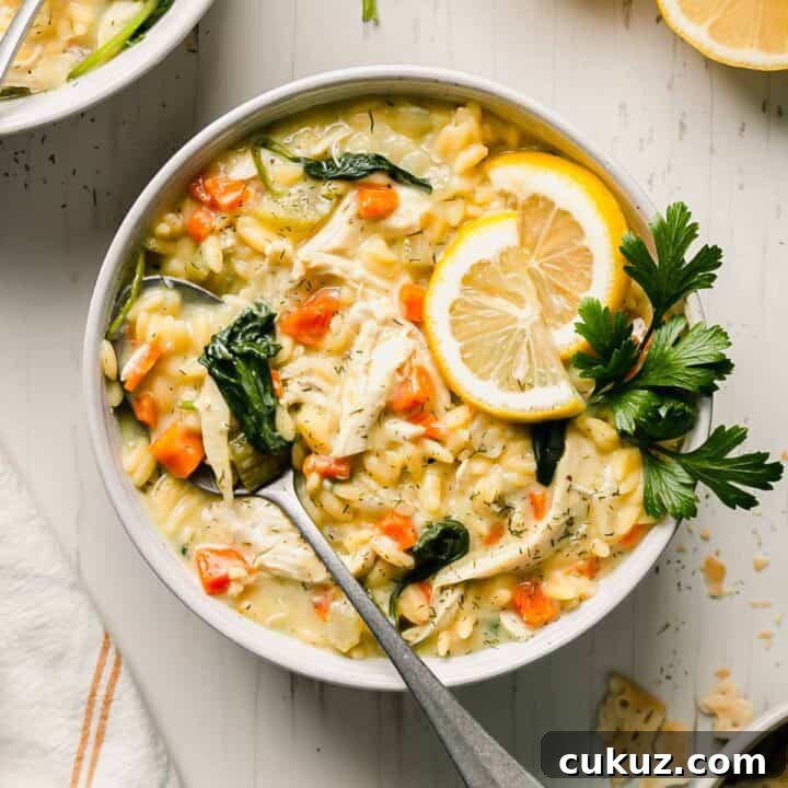 Gluten free lemon chicken orzo soup in a bowl with lemons slices and parsley for garnish.