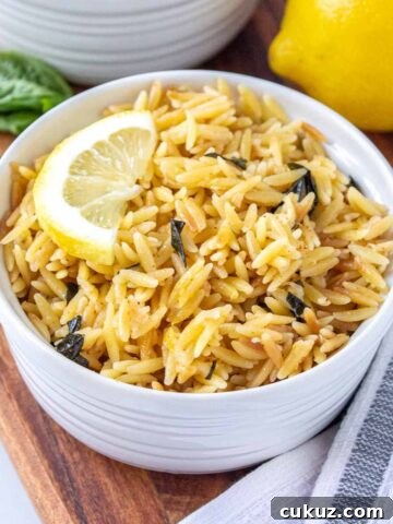 Ramekin filled with lemon parmesan orzo topped with a half lemon slice. There is fresh basil and lemon in the background.