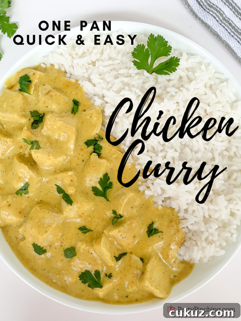 30-Minute Creamy Chicken Curry Recipe for Weeknight Dinners 2 quick and easy chicken curry, easy chicken curry, super easy chicken curry, fast easy best curry chicken, 30 minute meals, one pan chicken curry, chicken curry over rice, family dinner favorite weeknight meals