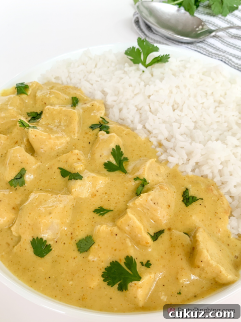 30-Minute Creamy Chicken Curry Recipe for Weeknight Dinners 3 quick and easy chicken curry, easy chicken curry, super easy chicken curry, fast easy best curry chicken, 30 minute meals, one pan chicken curry, chicken curry over rice, family dinner favorite weeknight meals