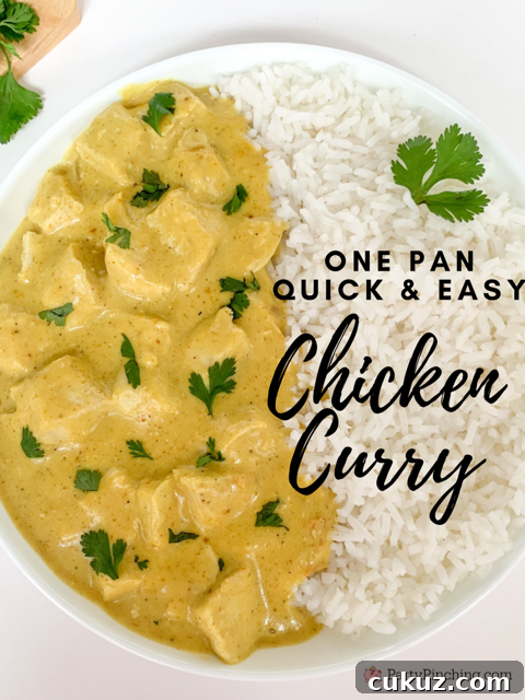 30-Minute Creamy Chicken Curry Recipe for Weeknight Dinners 7 quick and easy chicken curry, easy chicken curry, super easy chicken curry, fast easy best curry chicken, 30 minute meals, one pan chicken curry, chicken curry over rice, family dinner favorite weeknight meals