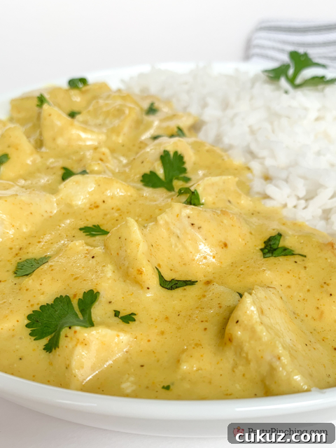 30-Minute Creamy Chicken Curry Recipe for Weeknight Dinners 8 quick and easy chicken curry, easy chicken curry, super easy chicken curry, fast easy best curry chicken, 30 minute meals, one pan chicken curry, chicken curry over rice, family dinner favorite weeknight meals