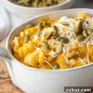 Pumpkin sauce on pasta with pepitas in bowl.