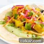 Samosa Wraps - Vegan, GF & Healthy! Georgie Eats.