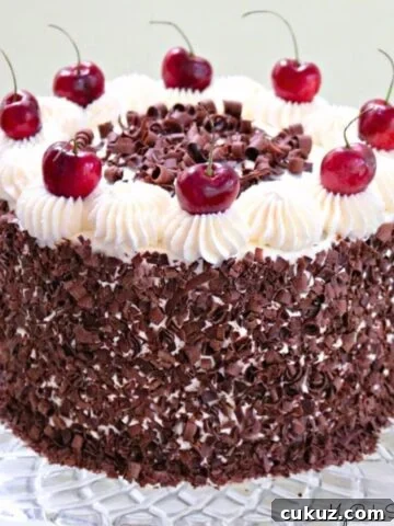 Black Forest Cake on glass pedestal.