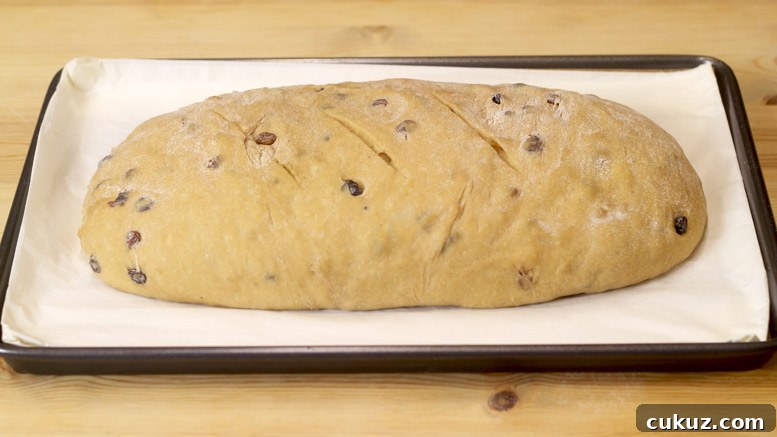 The Bara Brith Bread Dough Ready For Baking