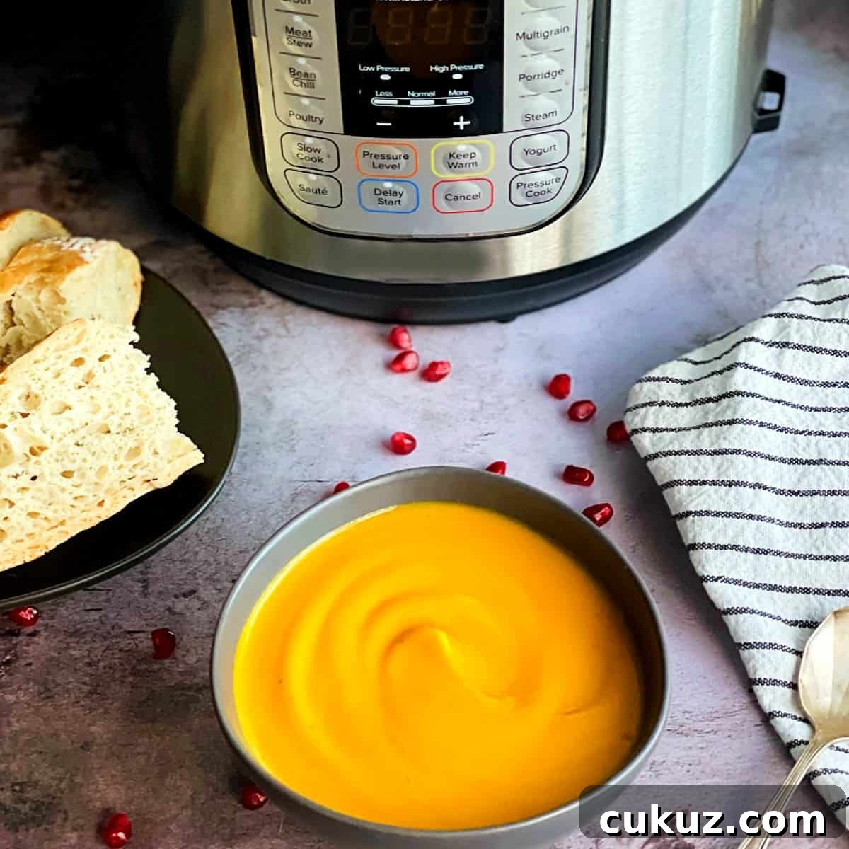 butternut squash soup and an instant pot